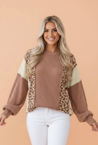 Leopard Color Block Long Sleeve Knit Top